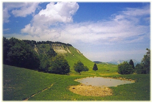 vue molière vue molière